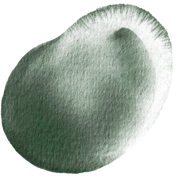 Watercolor brush